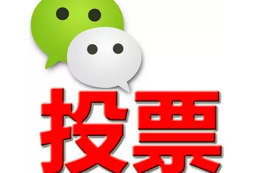 河北省微信投票功能开发 上传图片投票